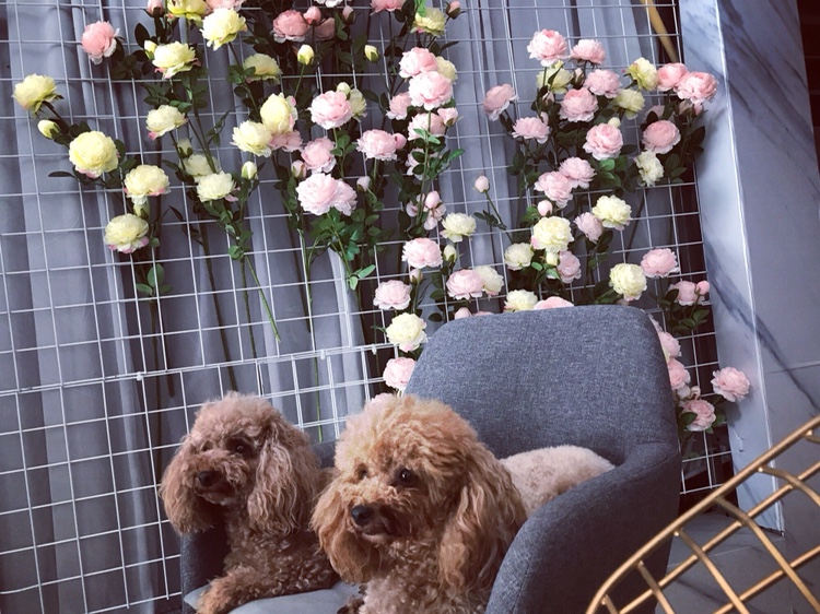 喜越婚礼JOYWEDDING