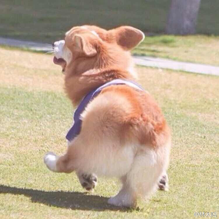 蓓蓓又饿了