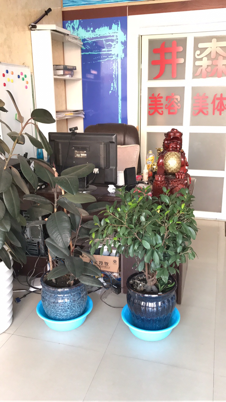 心海岸礼仪策划
