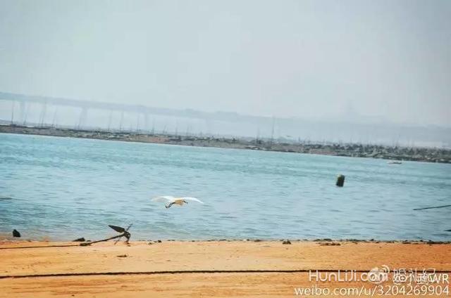 周迅在这拍过片又怎样，这5个地方比鼓浪屿还美丨厦门篇