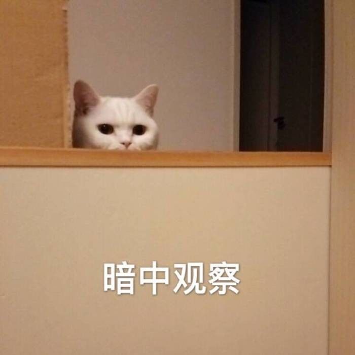 第一次去男方家，一定要弄清楚這4件事再把自己嫁過去！