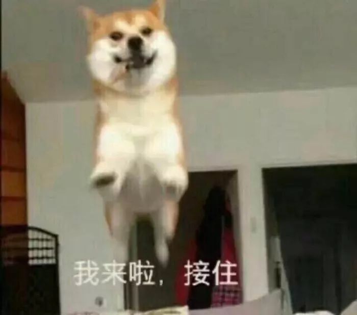 最流行的5種手捧花！哪種顯高又洋氣？