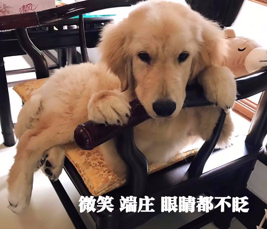 同樣是秀恩愛，為什么大S被罵，孫儷鄧超卻收獲百萬點(diǎn)贊？