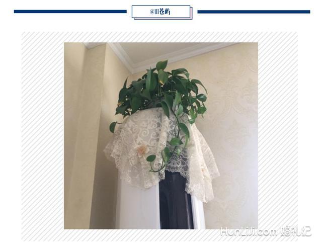 过年回家看完爸妈装修的新房，“我家可能有皇位要继承”