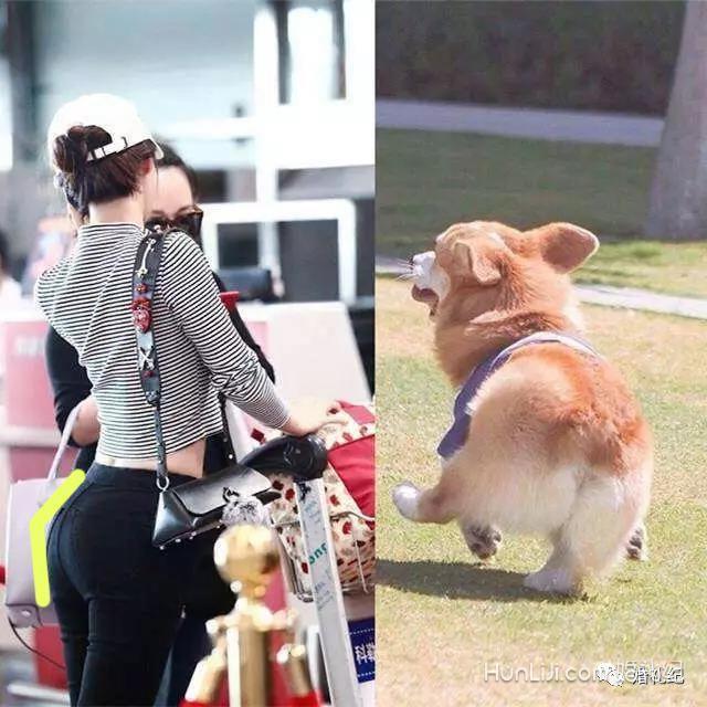 娜扎这点狂输李菲儿，爆红的柯基臀到底是怎样练成的？