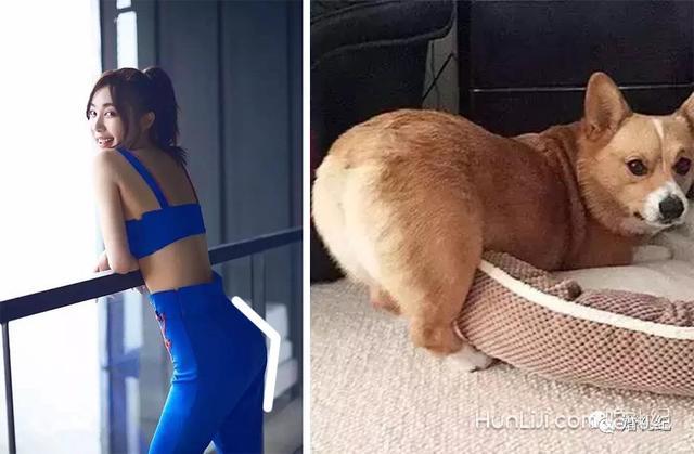 娜扎这点狂输李菲儿，爆红的柯基臀到底是怎样练成的？