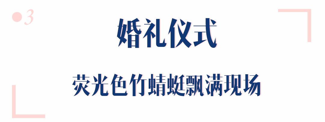 付辛博颖儿甜蜜大婚！我的伴郎伴娘合影又有了新灵感