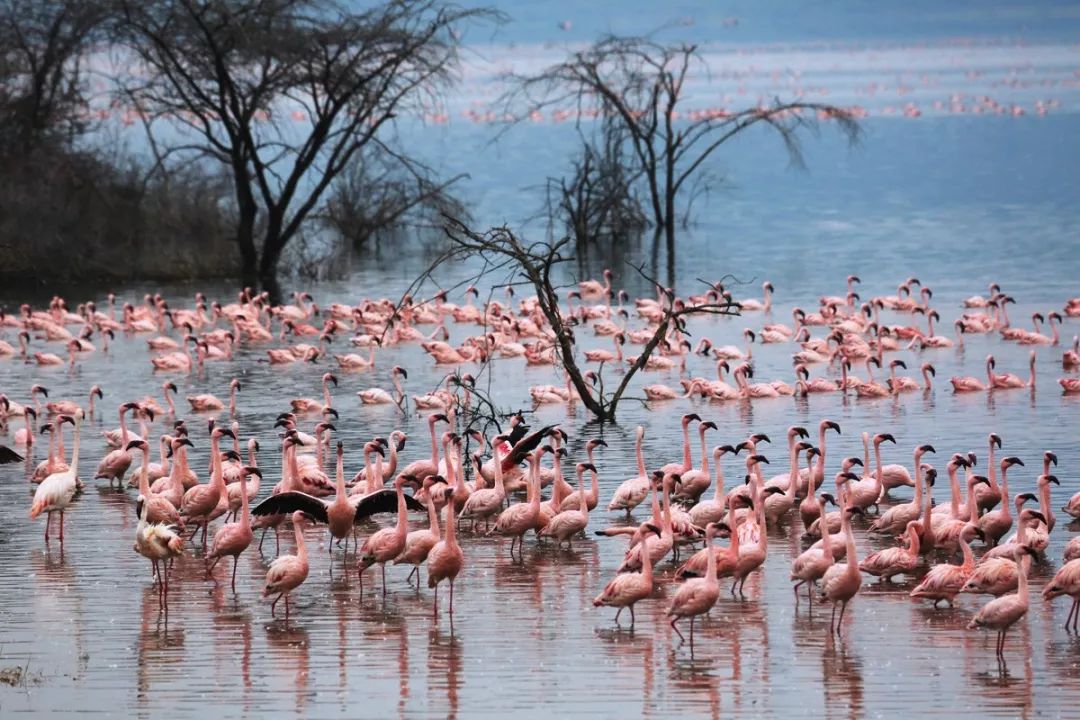 0元海外旅拍，全球6大網(wǎng)紅地任你選 | 旅拍體驗(yàn)師招募