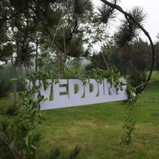 草坪婚礼流程及布置，这场草坪婚礼案例浪漫爆表了