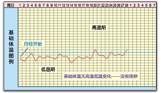 排卵期的计算方法有很多种，如何选择才能让备孕事半功倍？