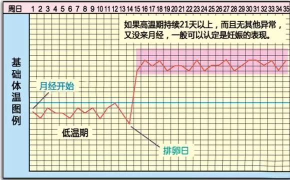 排卵期的计算方法有很多种，如何选择才能让备孕事半功倍？