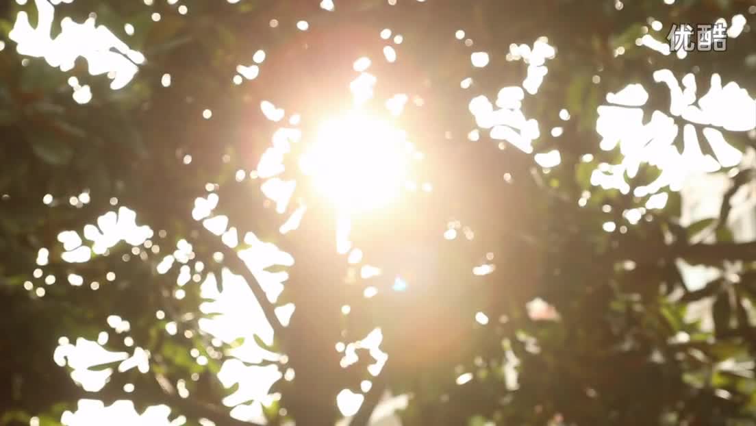 《by our love》— —【原石影像】