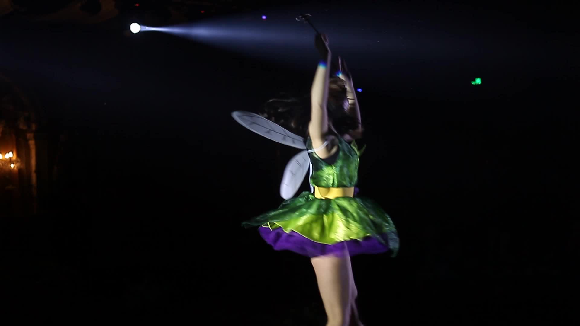 神秘的森林国度