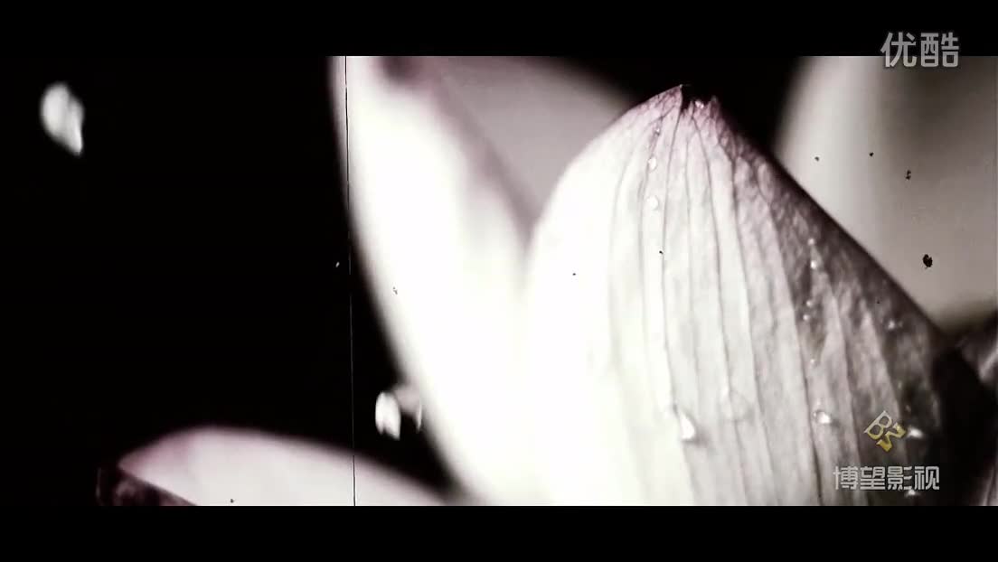 博望影视—《爱相随》婚礼MV_超清