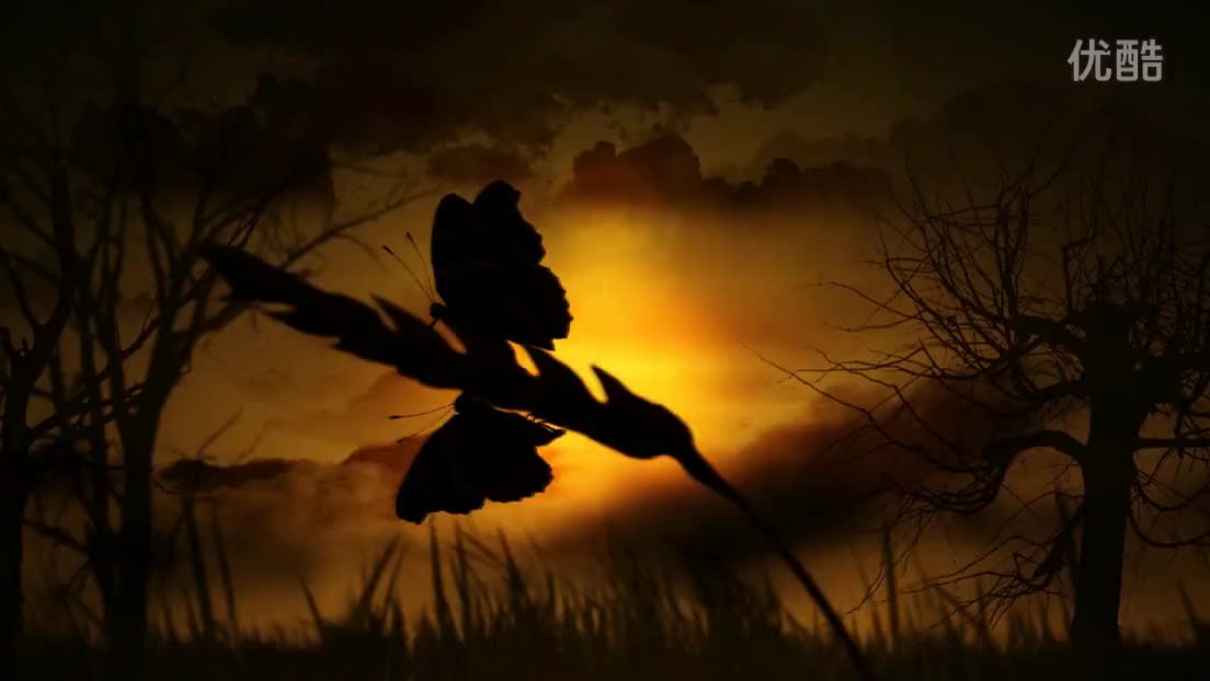 无锡飞影婚礼双击5d2加摇臂