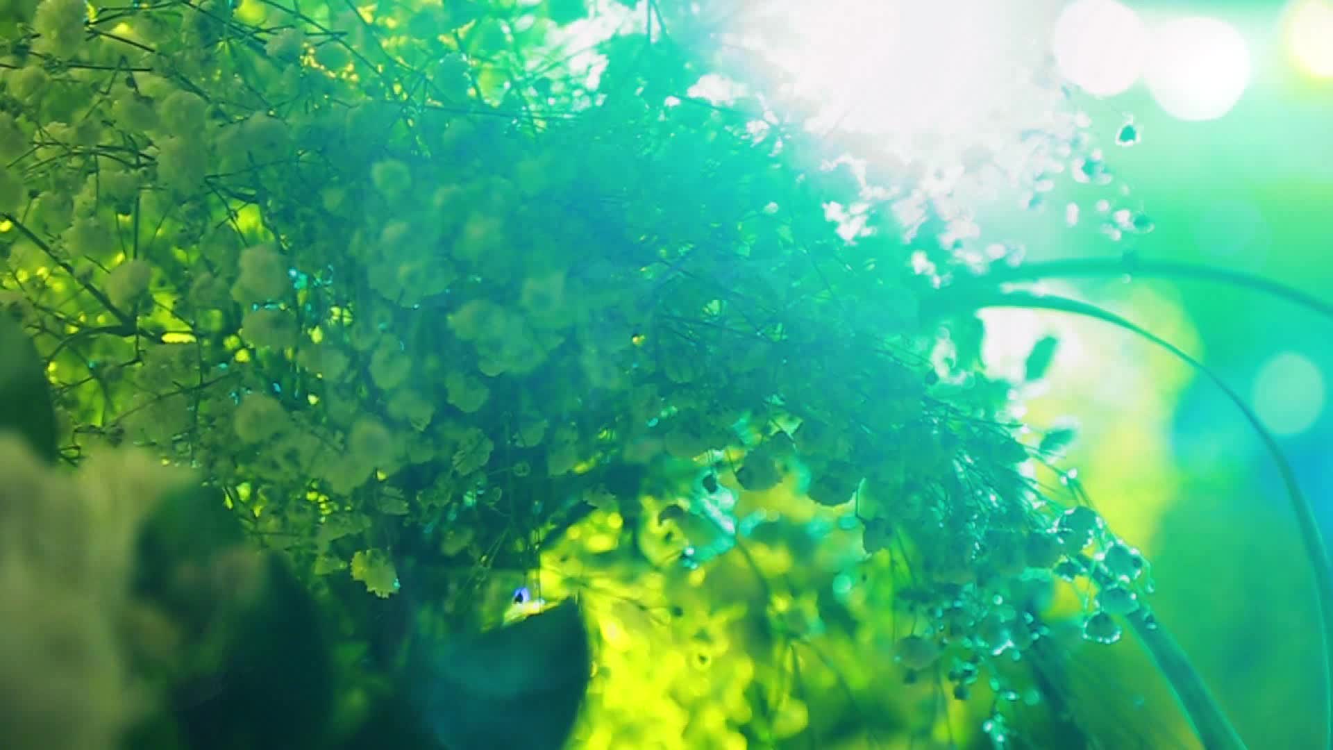 【沁视觉】婚礼跟拍双机位含现场剪辑套餐