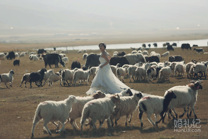 ＃与你感受高原的一天四季＃  青海湖婚纱旅拍