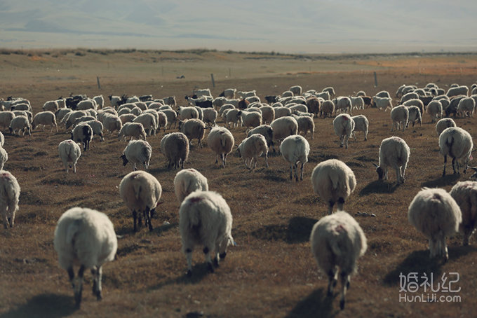 ＃与你感受高原的一天四季＃  青海湖婚纱旅拍