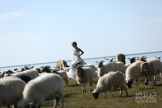 ＃与你感受高原的一天四季＃  青海湖婚纱旅拍