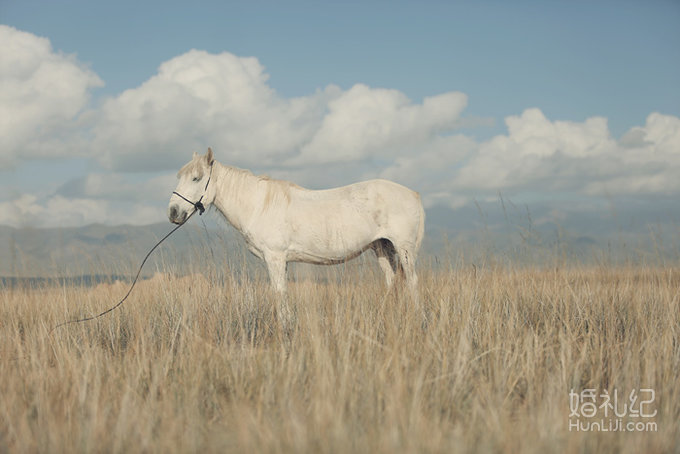 ＃与你感受高原的一天四季＃  青海湖婚纱旅拍