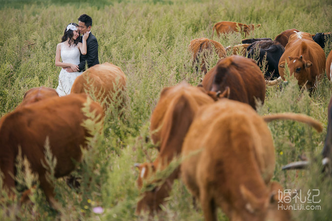 七月我们再回湖