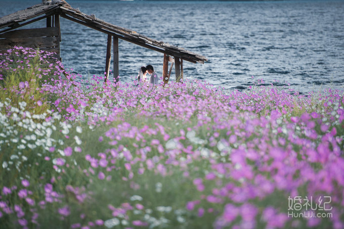 七月我们再回湖