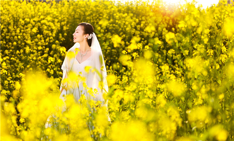 油菜花图片近照