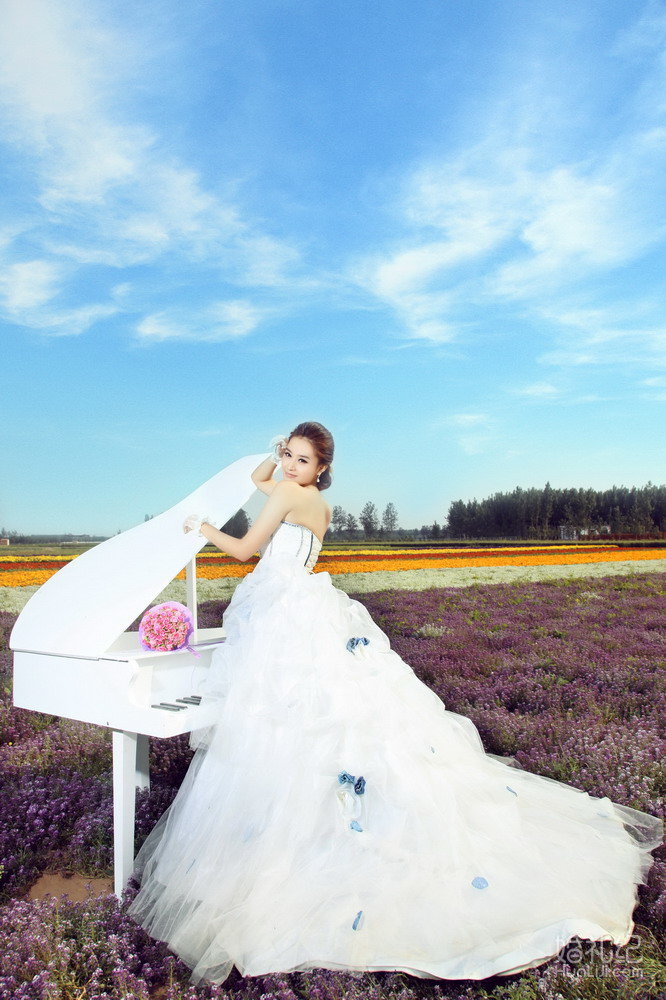 八月铭人婚纱摄影      薰衣草客片