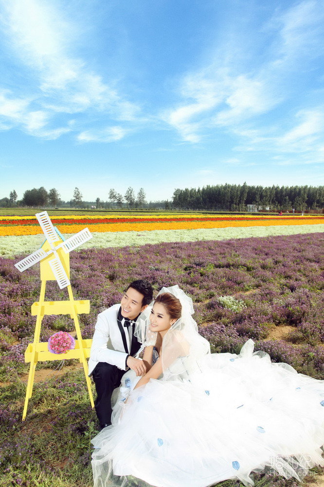 八月铭人婚纱摄影      薰衣草客片