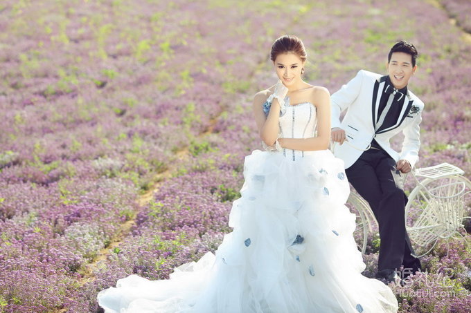 八月铭人婚纱摄影      薰衣草客片