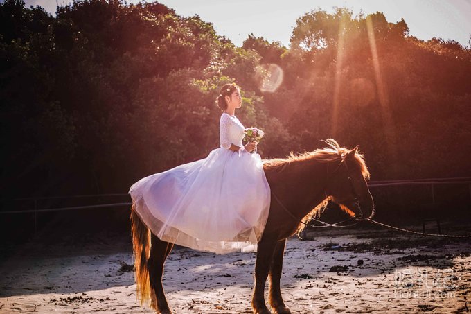 【光禾百年摄影】西冲马场..客照