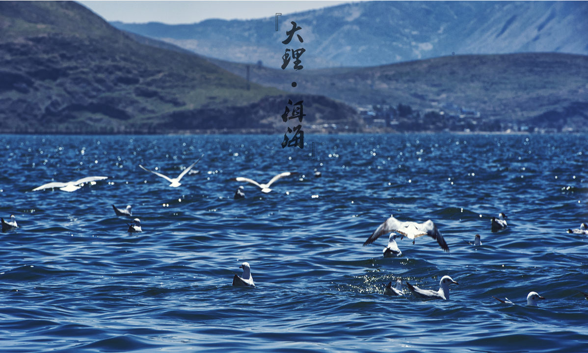 【天空之城】说走就走的旅行
