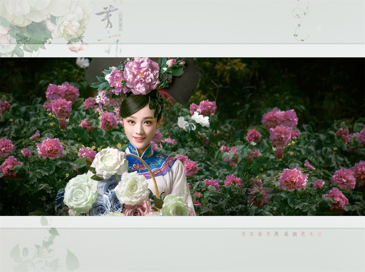 盘子女人坊新主题【芳菲】