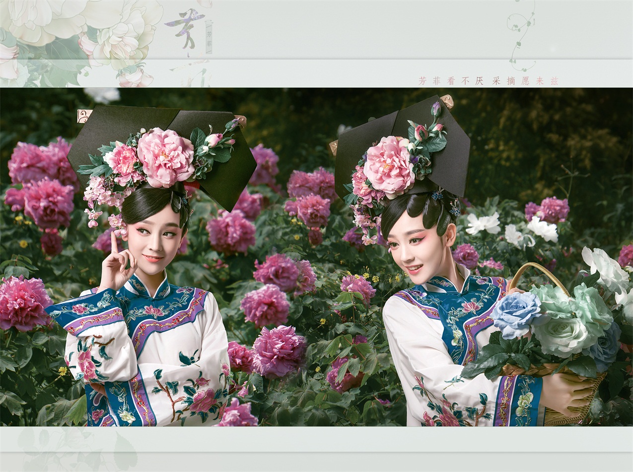 盘子女人坊新主题【芳菲】