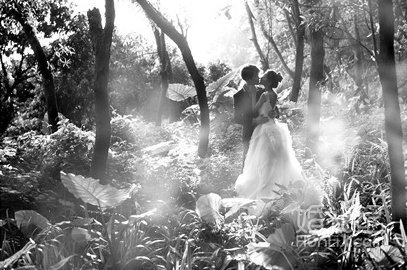 幸福果子#植物园唯美风