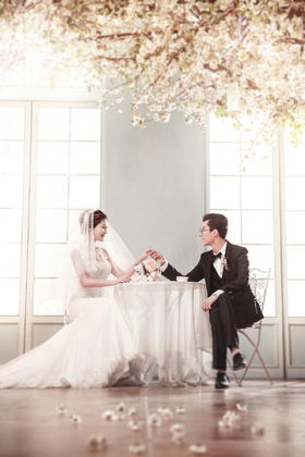 韩式风格婚纱照《爱情树》