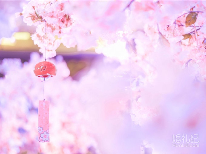 【浪漫樱花】