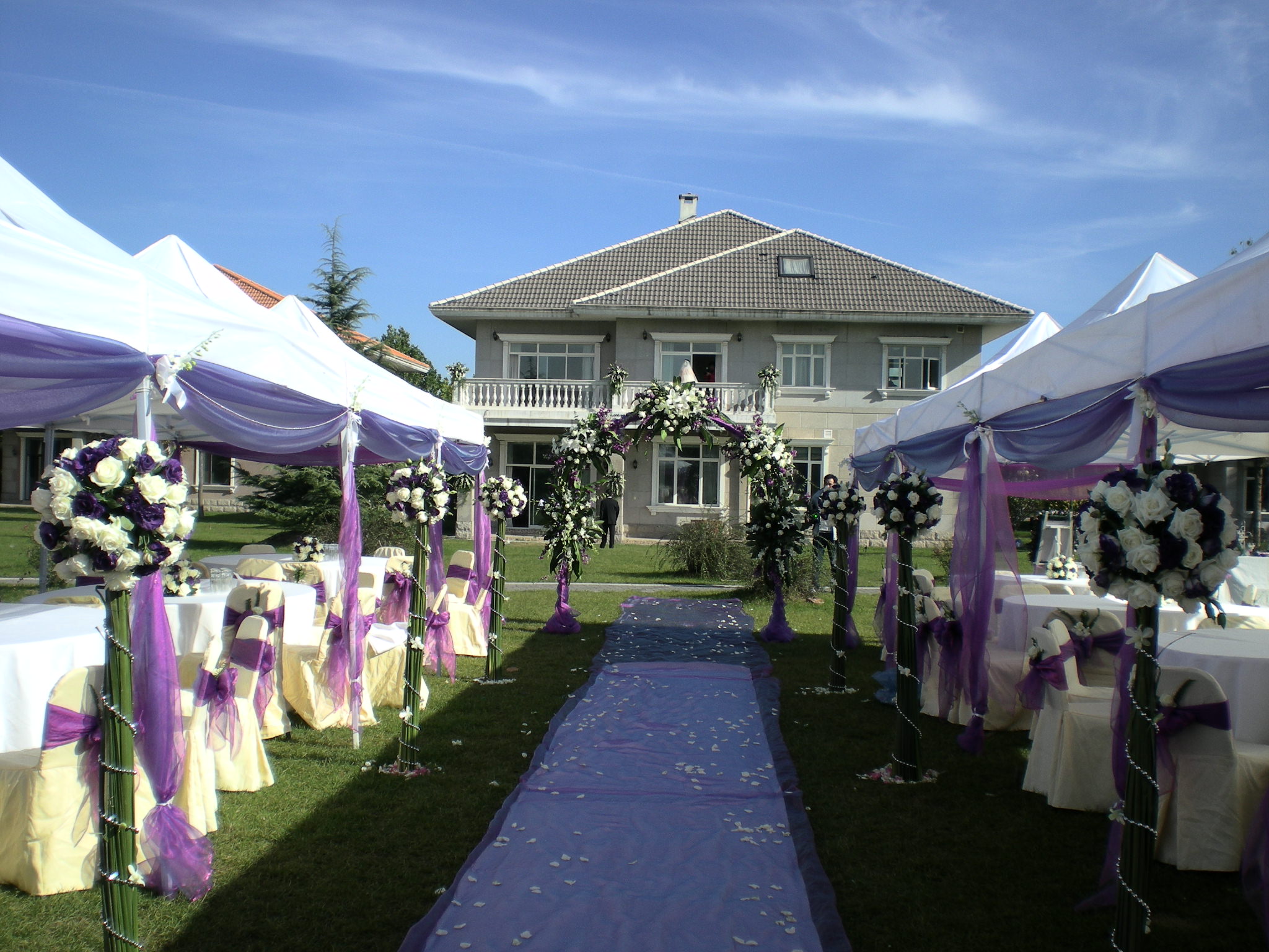 乐喜婚礼 | 紫色海洋