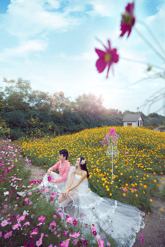 韩式婚纱照-花海系列