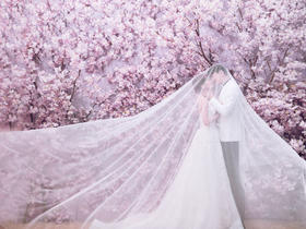 MOMA影城【我的秘密花园】韩式花海主题婚纱摄影
