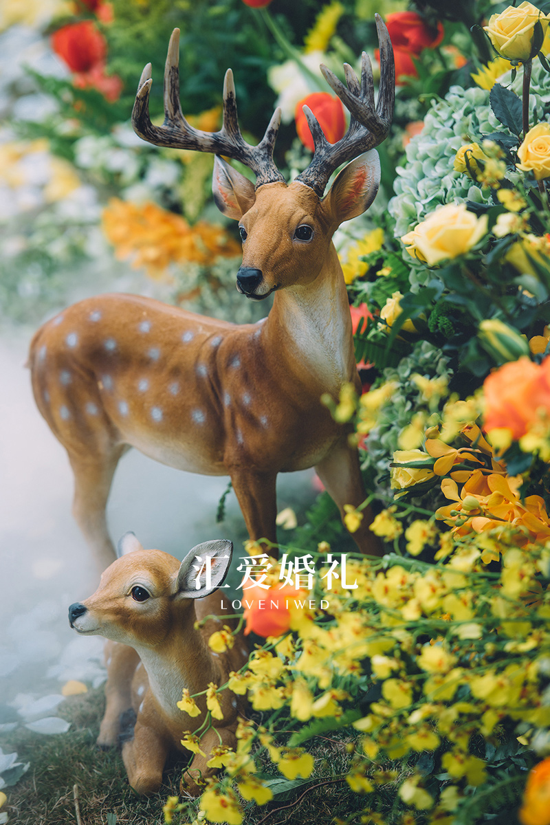 匯愛婚禮｜仙蹤·果橙色童真花園（?？冢?
                /></div><div   id=