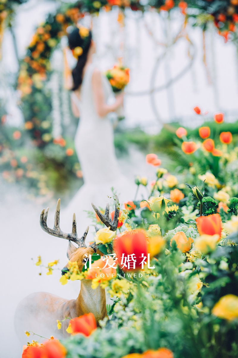 匯愛婚禮｜仙蹤·果橙色童真花園（?？冢?
                /></div><div   id=