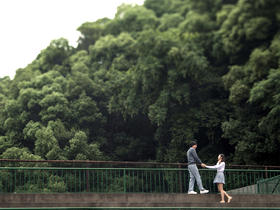 【樱花树摄影】 那些年