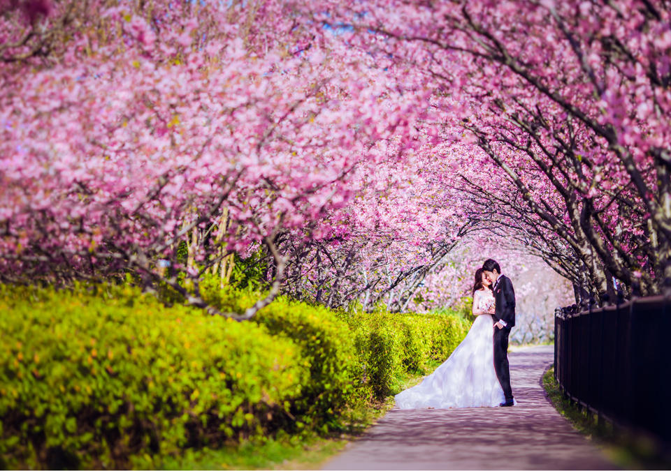 日本浪漫婚纱摄影