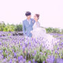【博创摄影】韩式外景婚纱+8服8造+总监团队