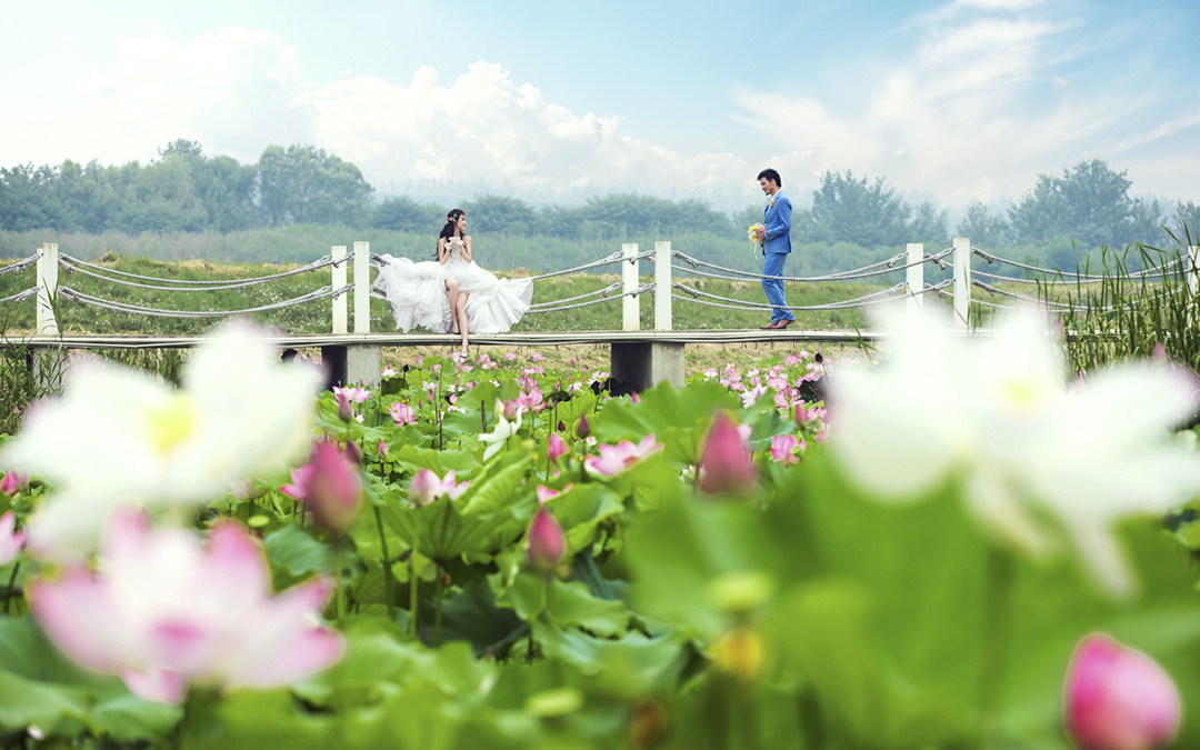 【安娜婚纱旅拍】-莫奈花园2