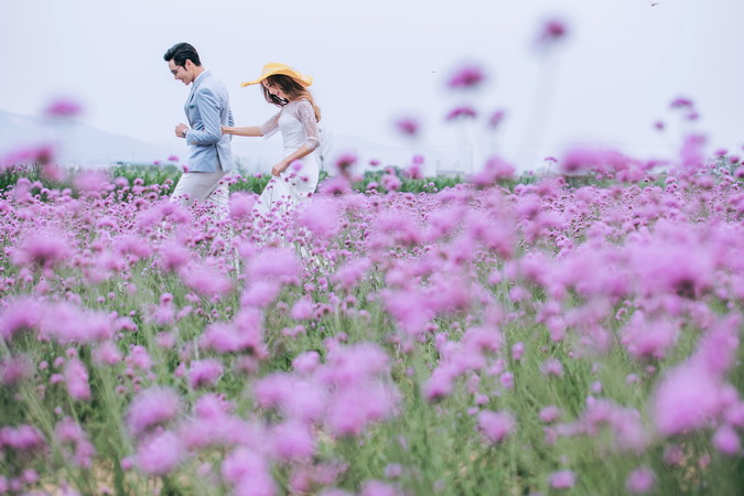 ?旅圖?婚紗攝影 云南?「花開情?！?
                /></div><div   id=