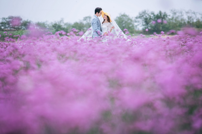 ?旅圖?婚紗攝影 云南?「花開情海」