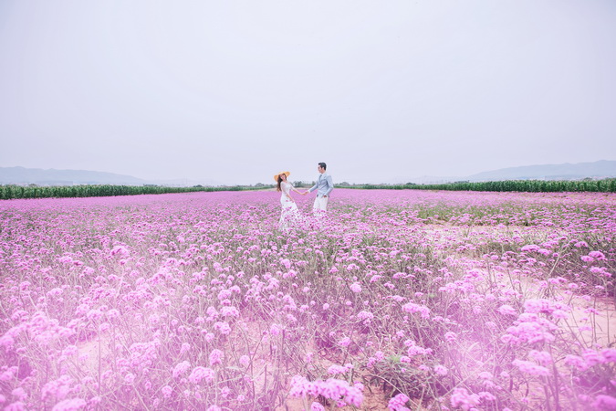 ?旅圖?婚紗攝影 云南?「花開情?！?
                /></div><div   id=