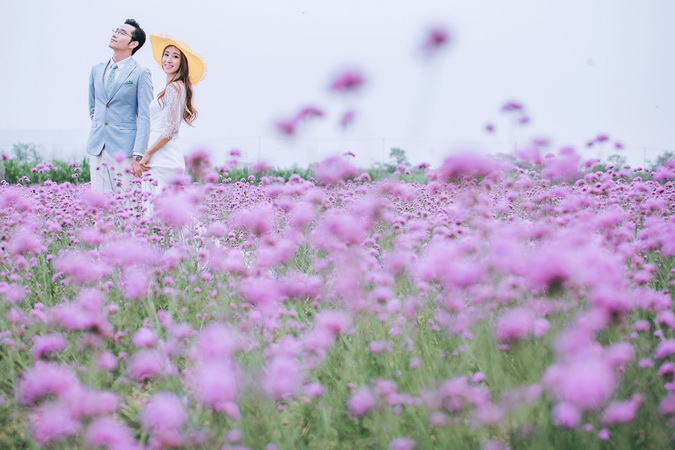 ?旅圖?婚紗攝影 云南?「花開情?！?
                /></div><div   id=